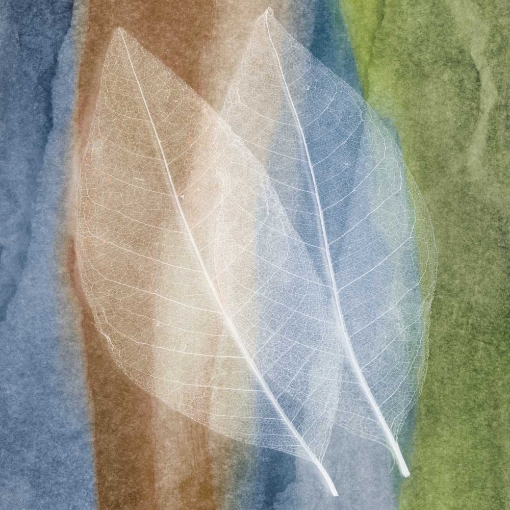 Art Print: Leaf Structure I