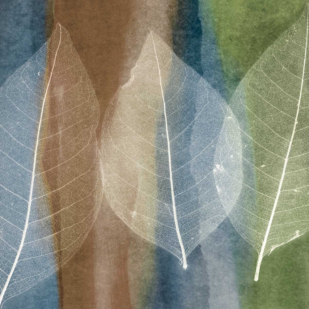 Art Print: Leaf Structure II
