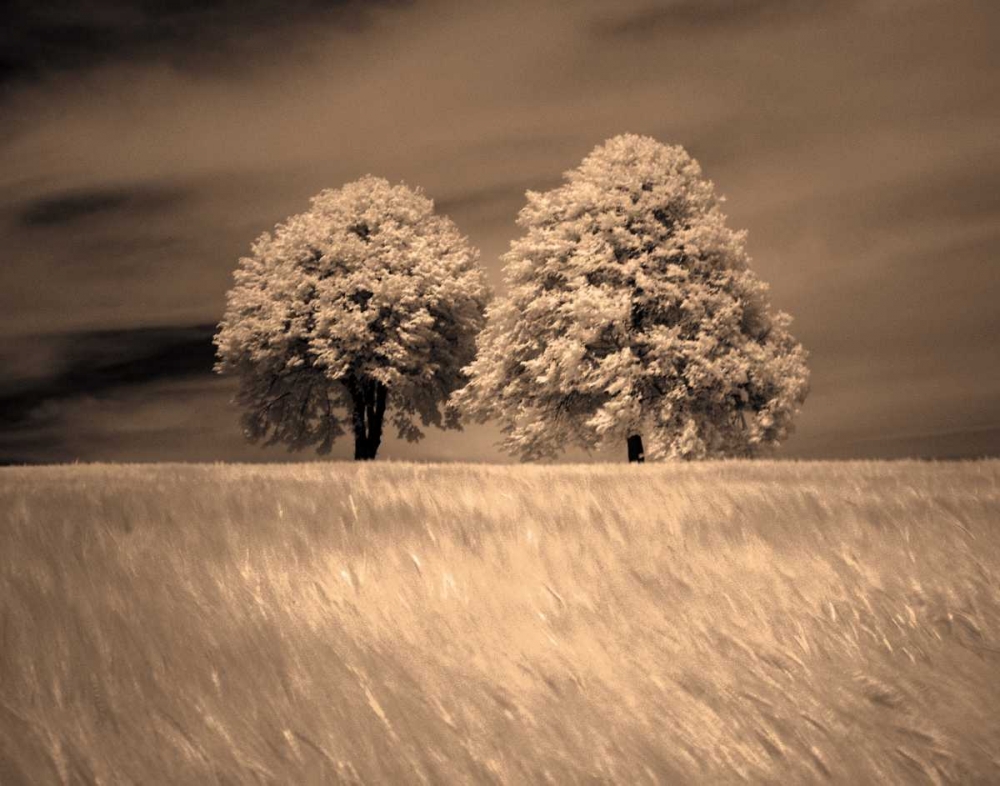 Art Print: Together and Alone I