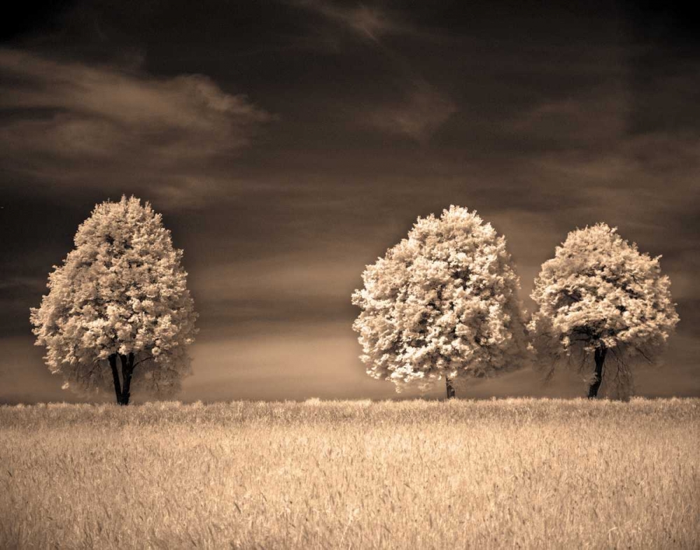 Art Print: Together and Alone II