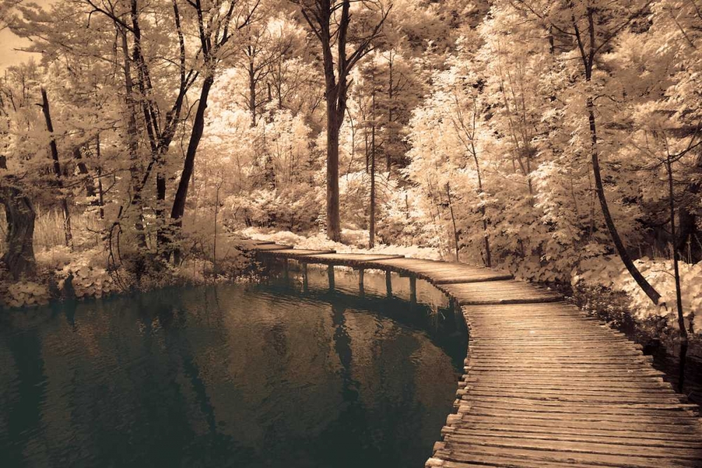 Art Print: Take My Lead I