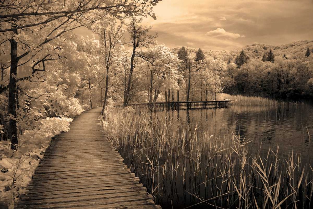 Art Print: Take My Lead II