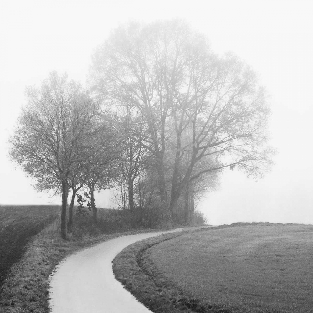 Art Print: Foggy Afternoon