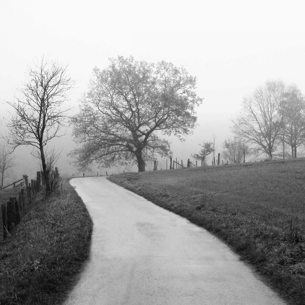 Art Print: Foggy Afternoon