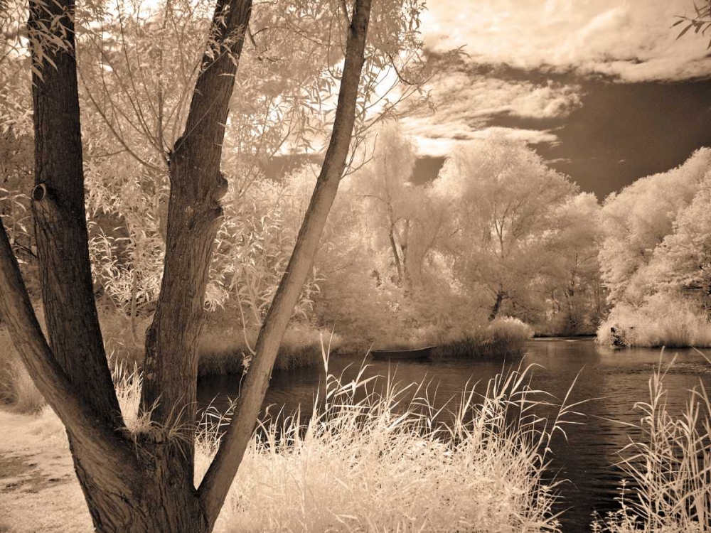 Art Print: Lakefront View I