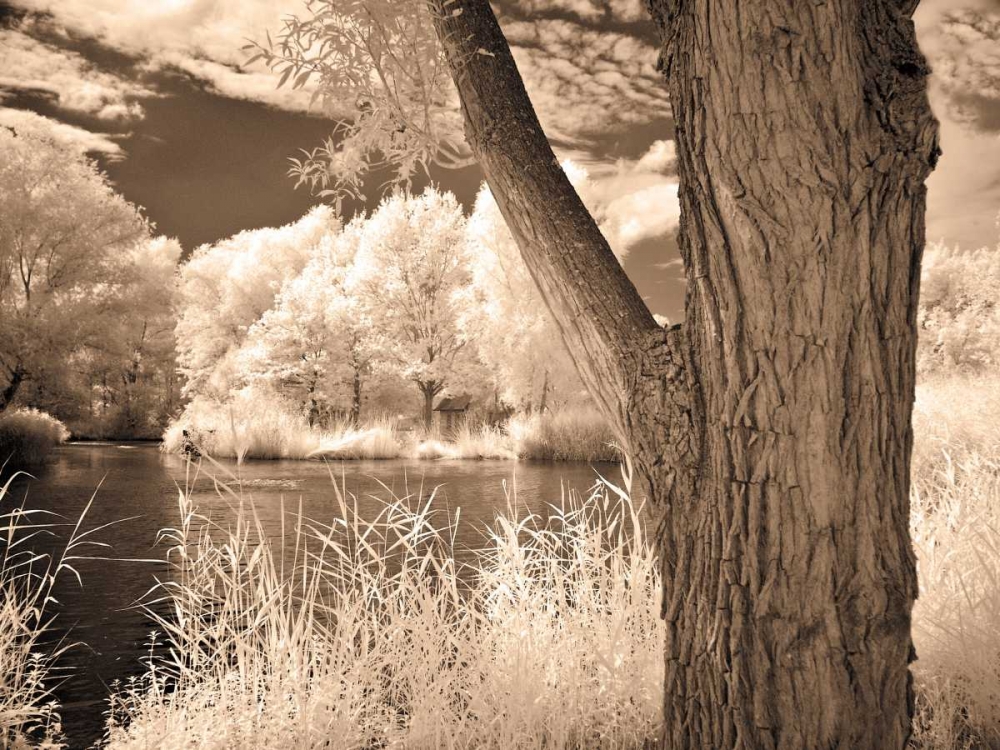 Art Print: Lakefront View II