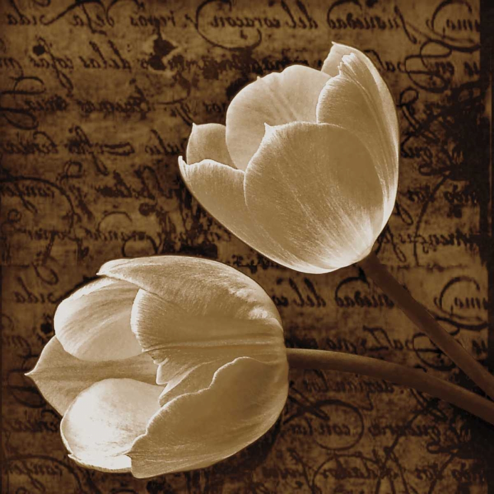 Art Print: With Love I