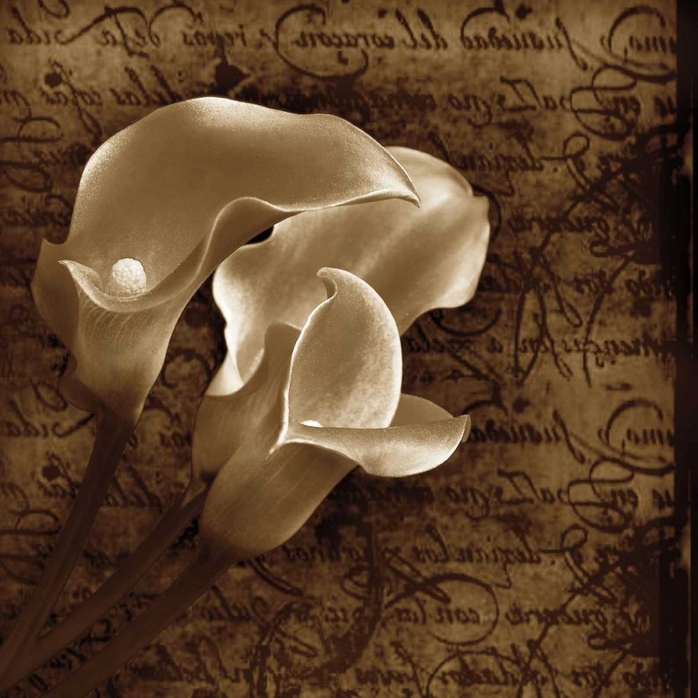 Art Print: With Love II