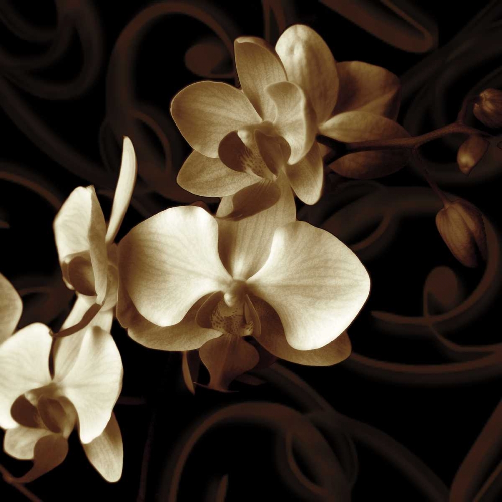 Similar wall art painting: 11914