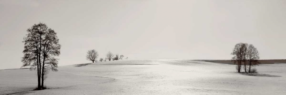 Similar wall art painting: 11577