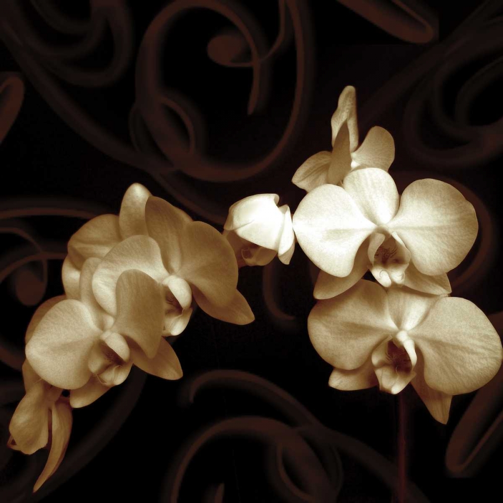 Similar wall art painting: 11409