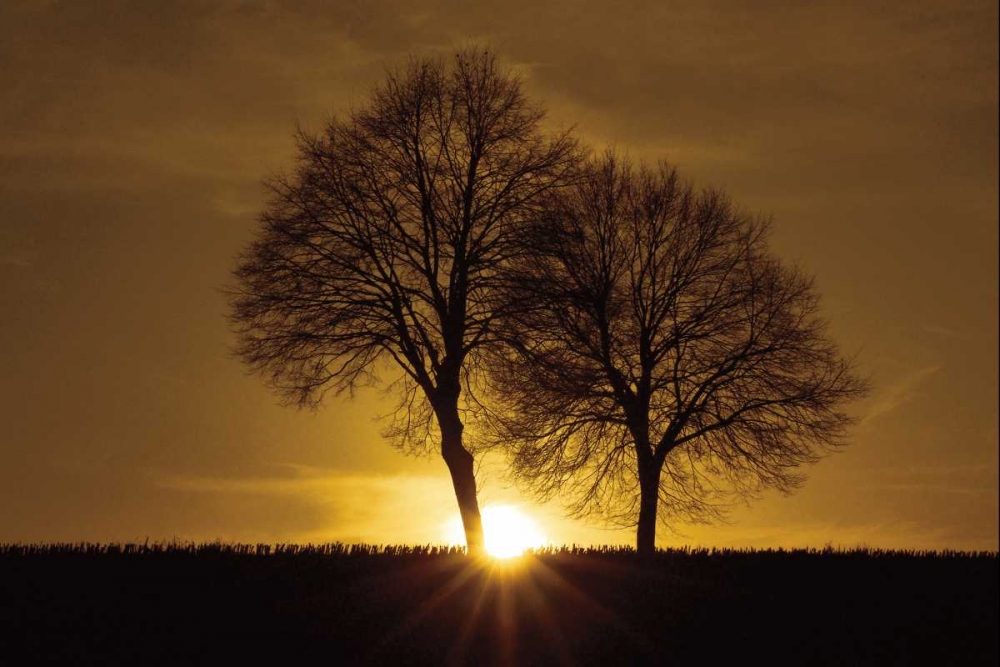 Art Print: A New Beginning