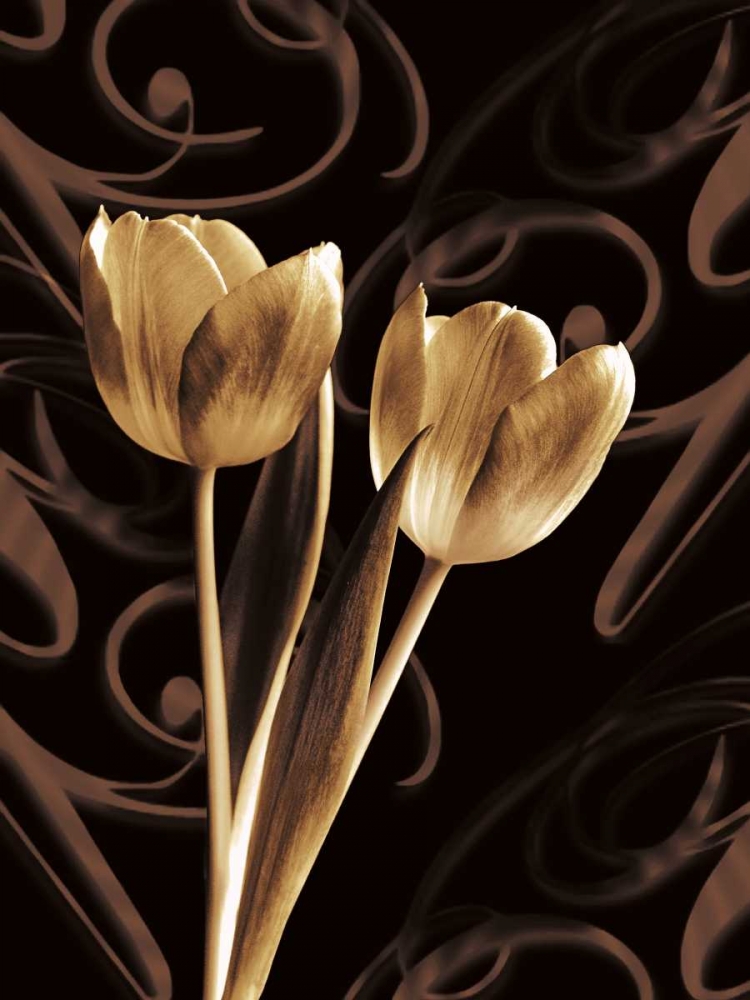 Art Print: Floral Eloquence I