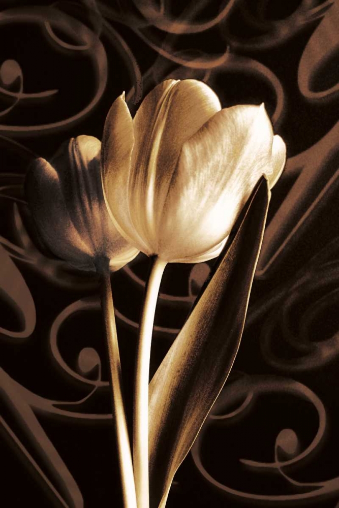 Art Print: Floral Eloquence  II