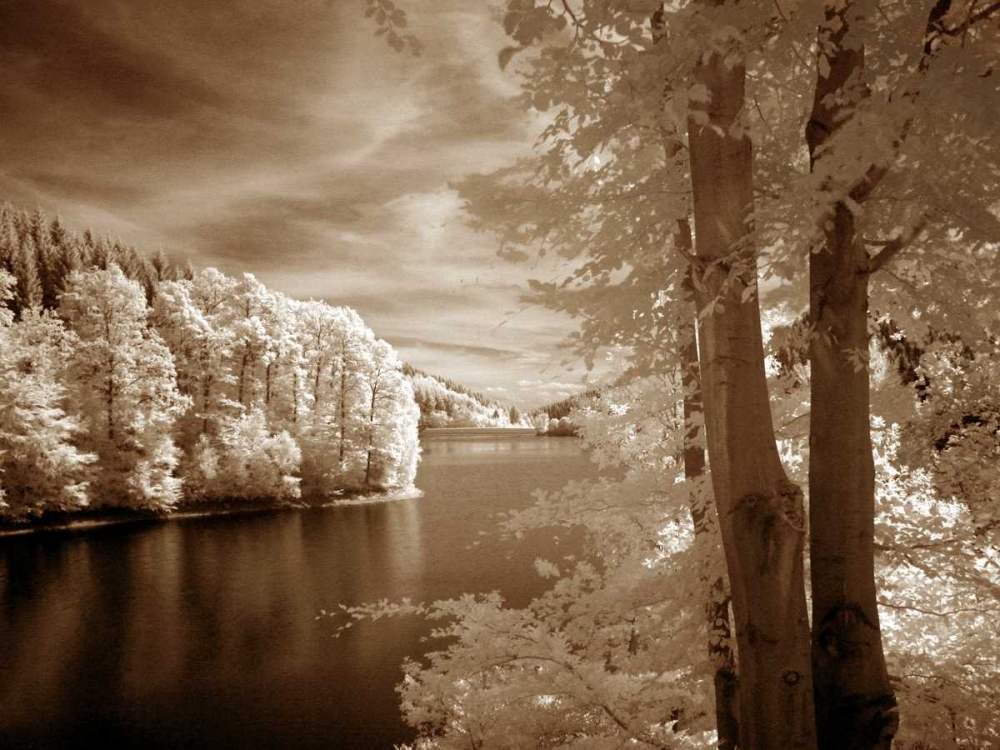 Art Print: A View To Remember