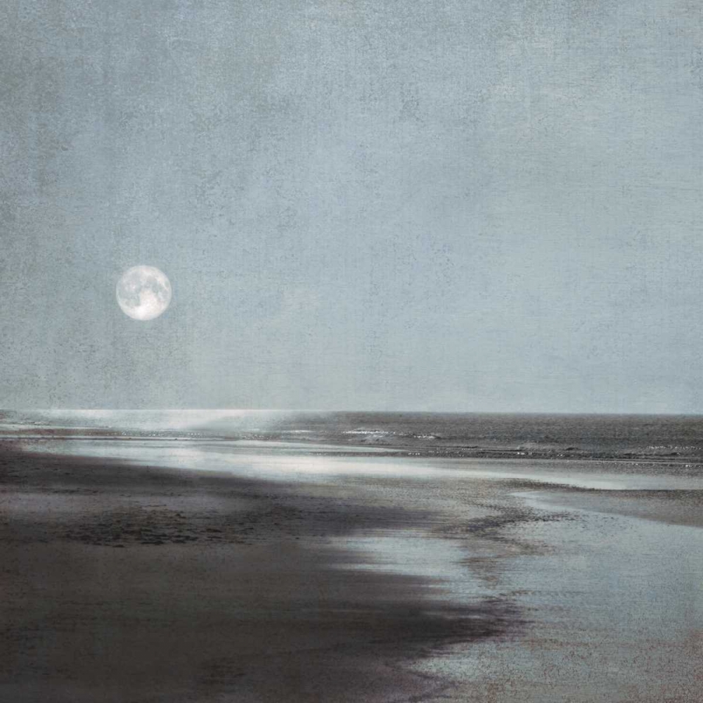 Wall art: Moonlit Beach, by Szilagyi, Ily