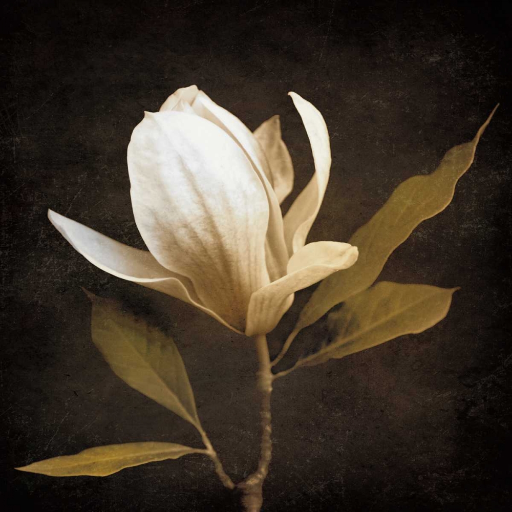 Wall art: Grandeur, by Szilagyi, Ily