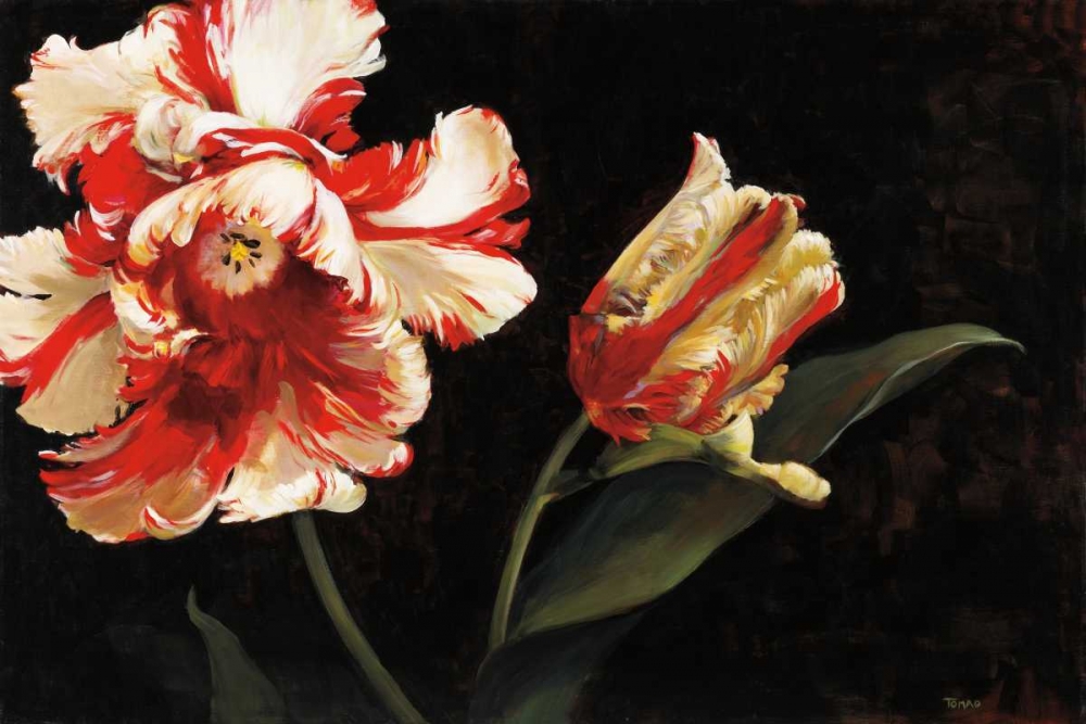 Wall art: Resplendent, by Tomao, Jennie