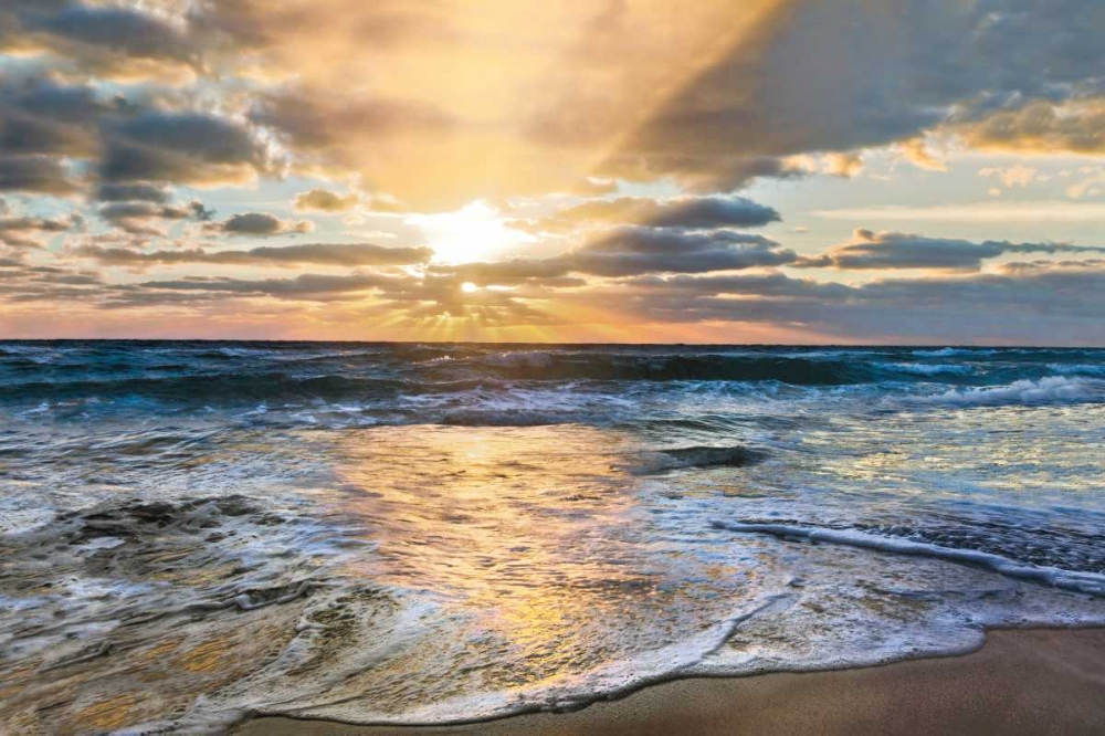 Wall Art Painting id:171416, Name: Whipped Cream, Artist: Celebrate Life Gallery