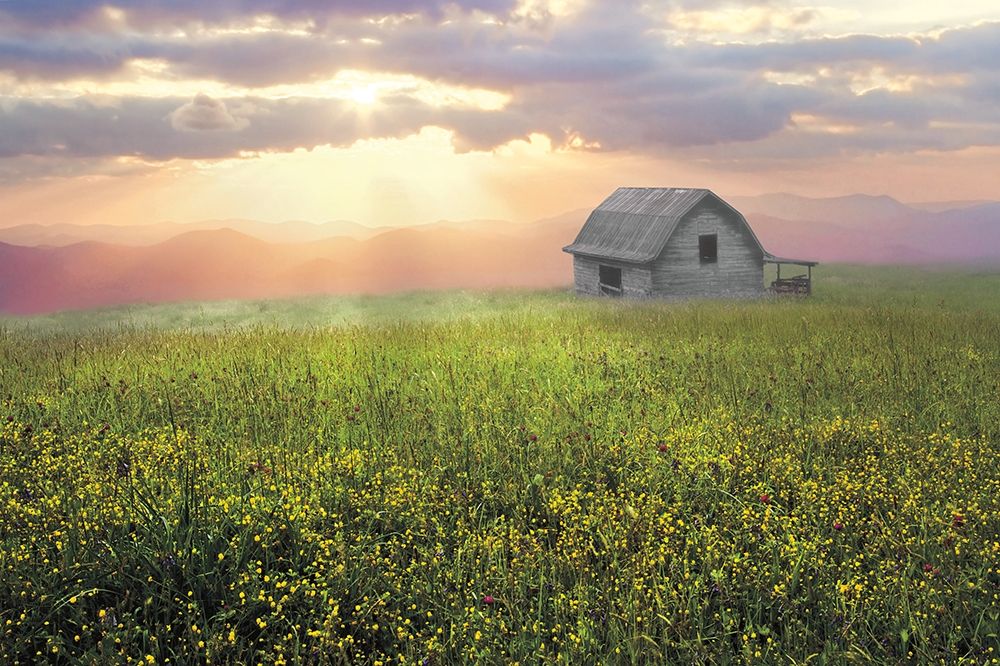 Art Print: Morning Has Broken