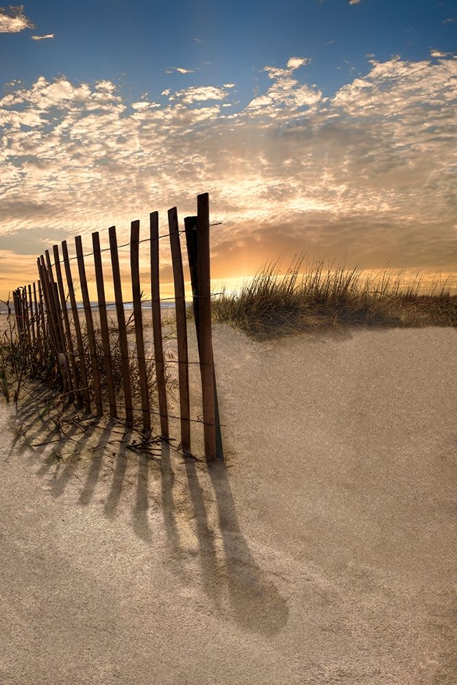 Art Print: Dune Fence at Sunrise