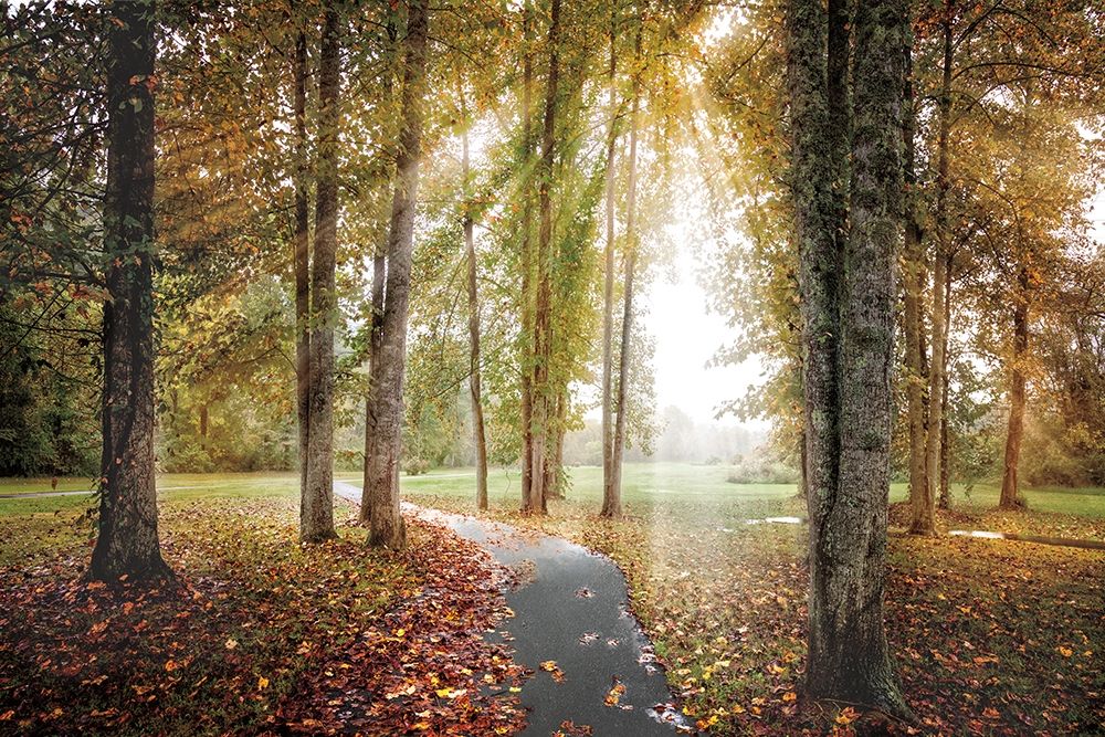 Art Print: Following the Light