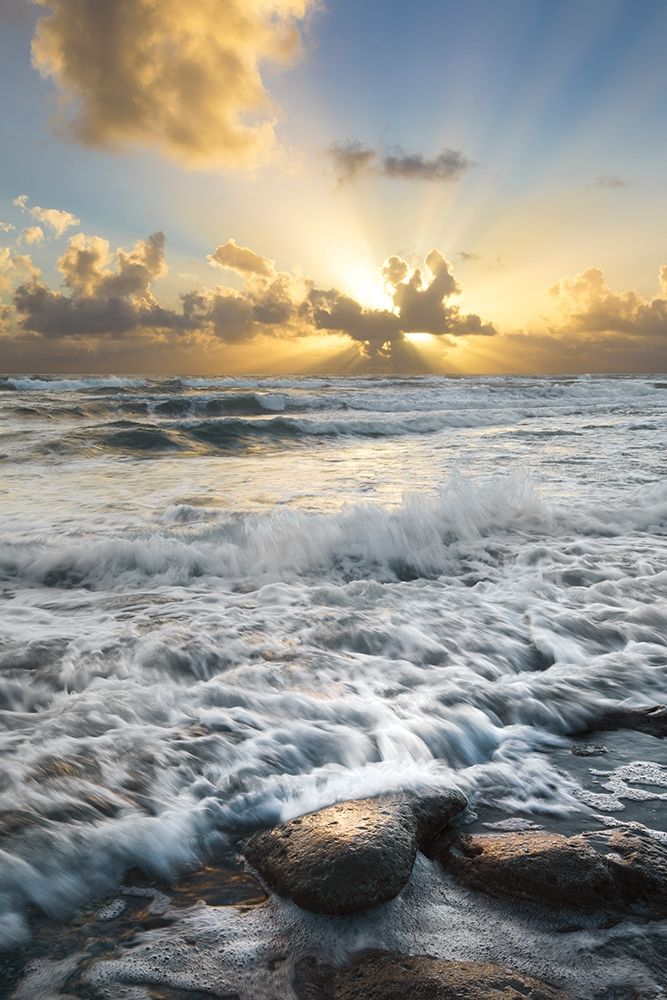 Similar wall art painting: 201601