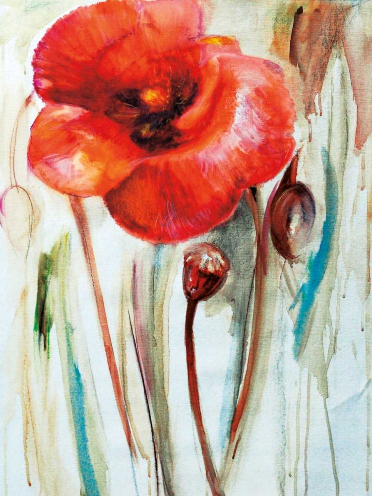 Wall Art Painting id:37029, Name: Mak, Artist: Zielinska, Maria