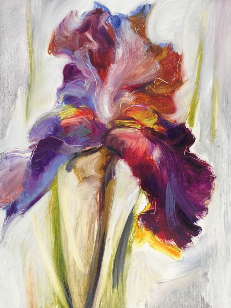 Wall art: Colors of Iris I, by Zielinska, Maria