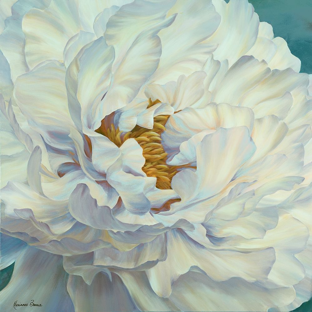 Art Print: Peony Petals