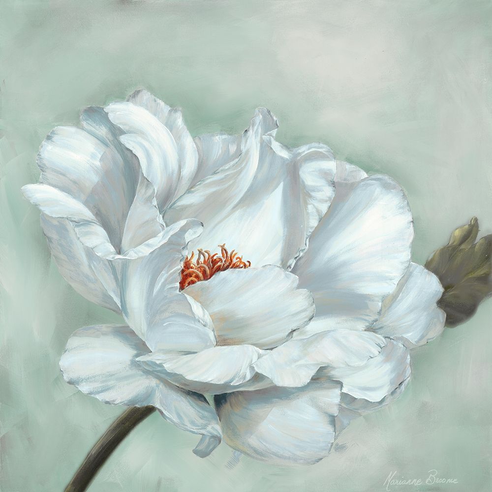Art Print: Precious Peony I