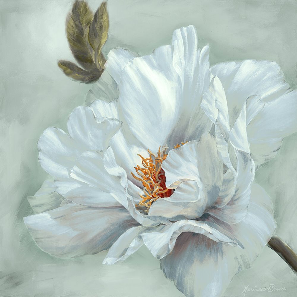 Art Print: Precious Peony II