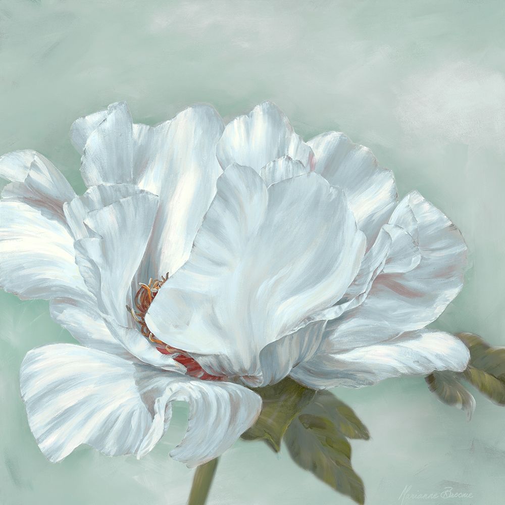 Art Print: Precious Peony II
