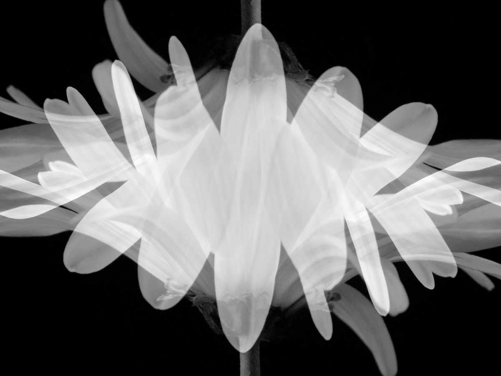 Art Print: Superimposition