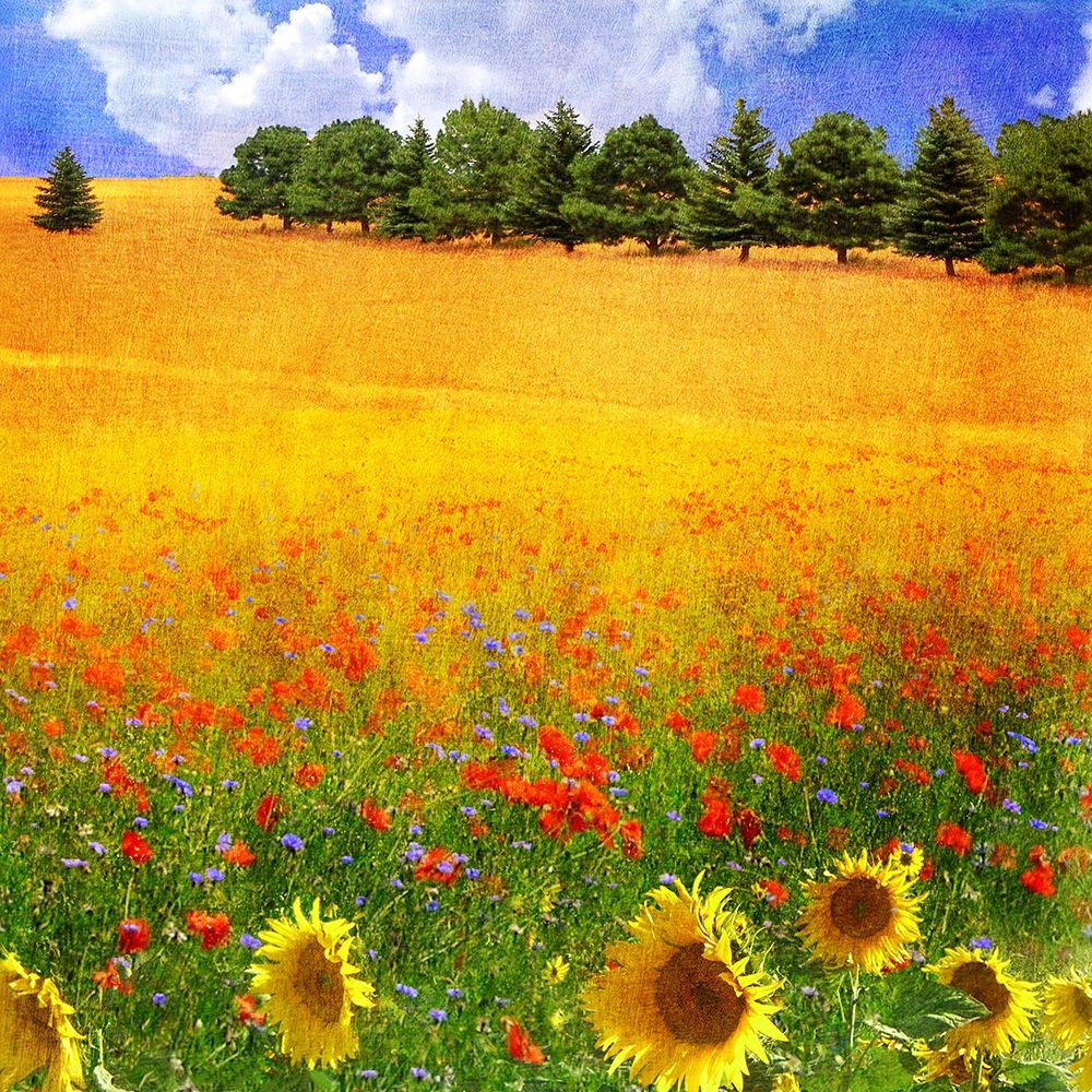 Similar wall art painting: 270709