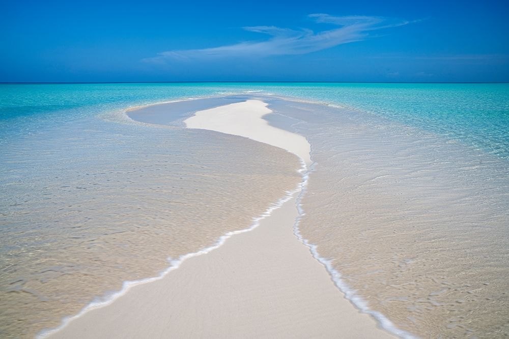 Art Print: Oceans Meet