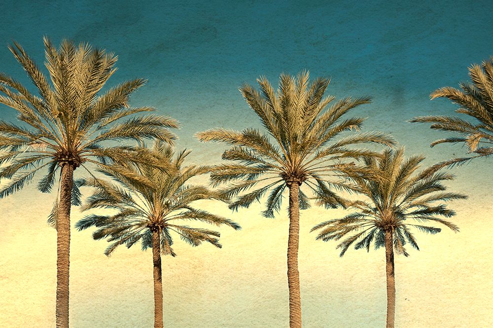 Wall Art Painting id:538170, Name: Distressed Palm Trees, Artist: Stein, Daniel