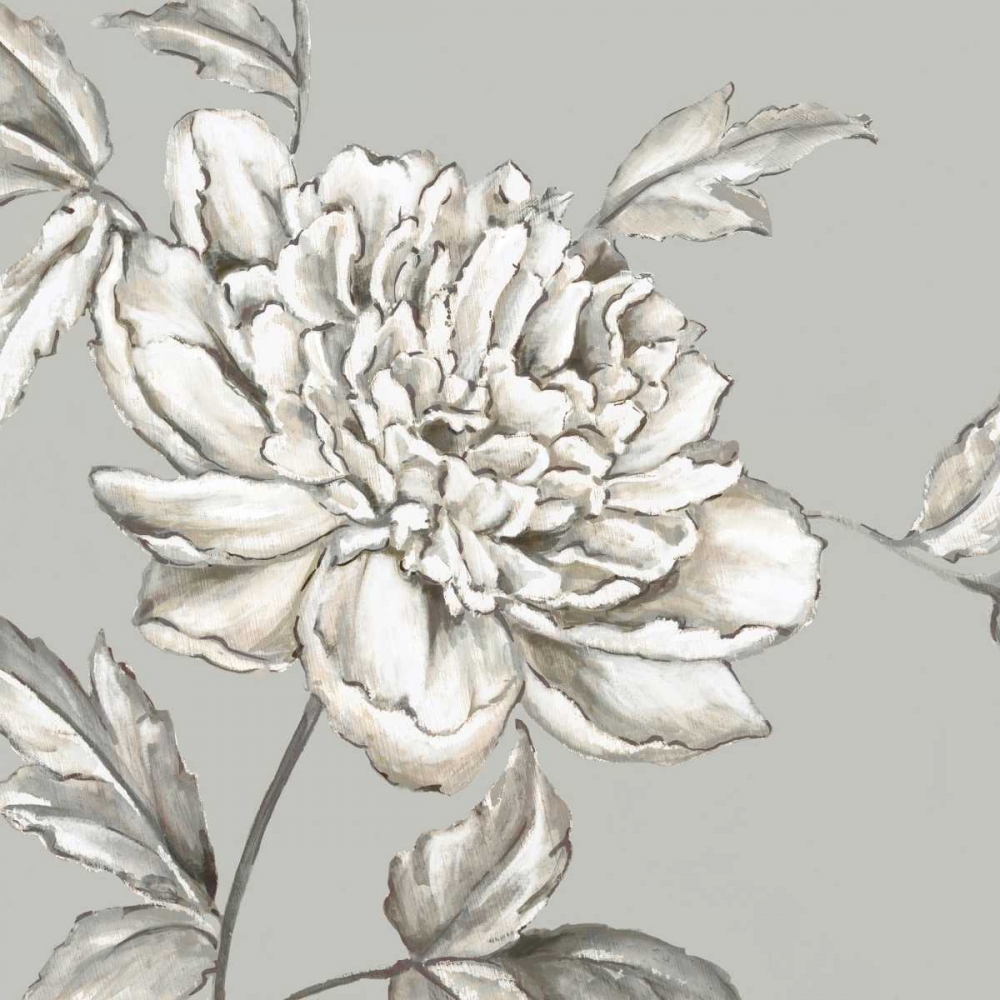 Wall Art Painting id:176051, Name: Botanical II, Artist: Watts, Eva