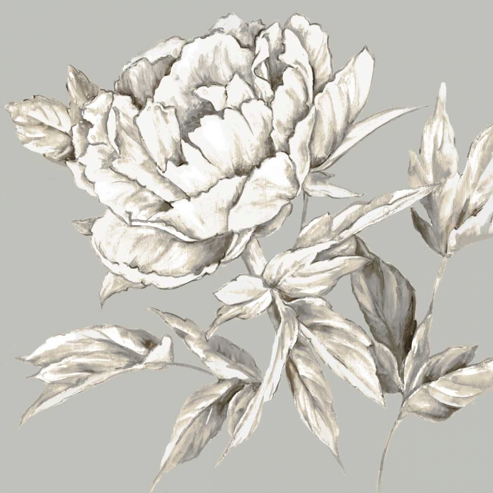 Wall Art Painting id:176052, Name: Botanical III, Artist: Watts, Eva