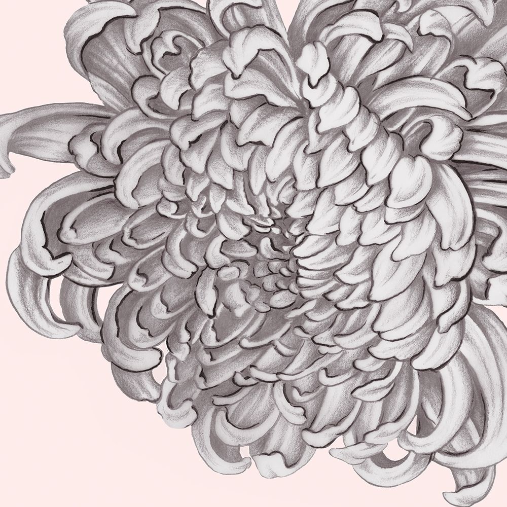 Wall Art Painting id:199465, Name: Blush Peony I, Artist: Watts, Eva