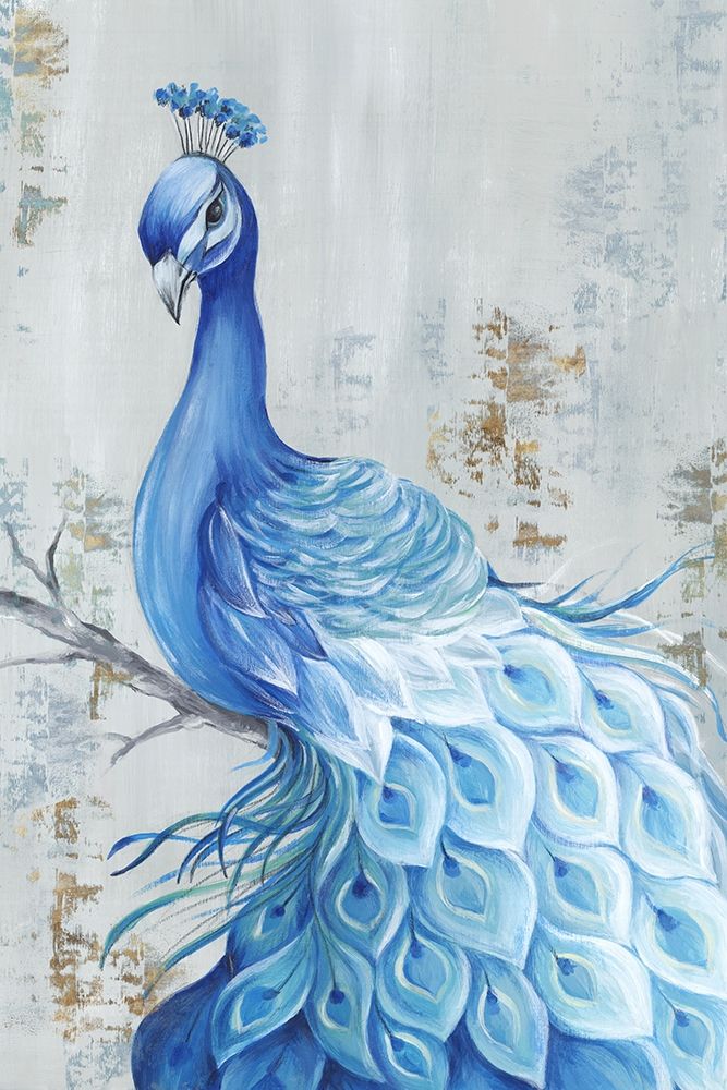 Art Print: Peacock Paradise