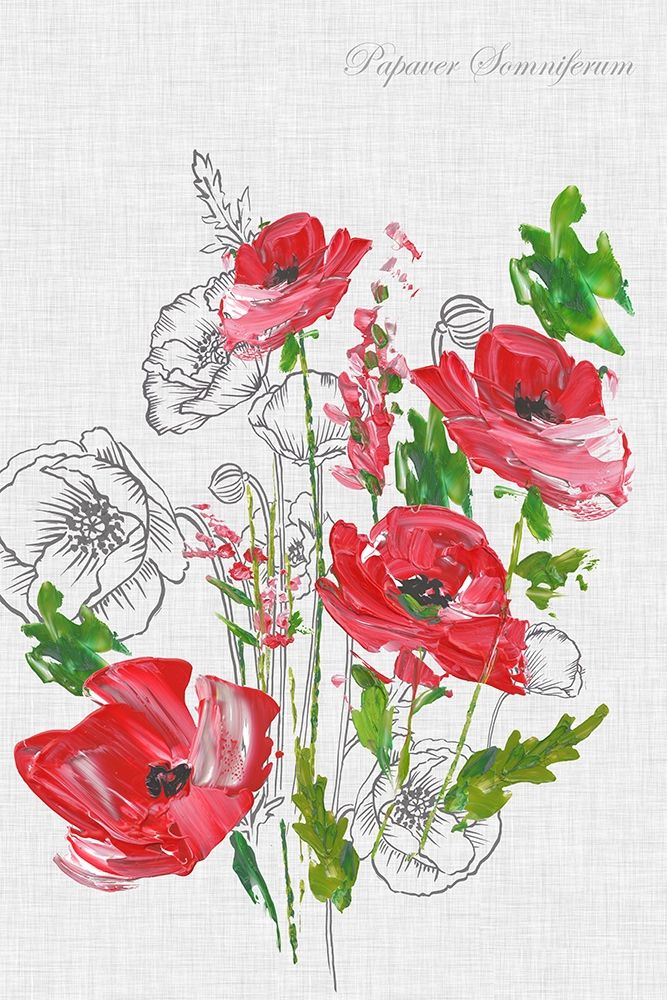 Wall Art Painting id:219916, Name: Botanical Poppies , Artist: Watts, Eva