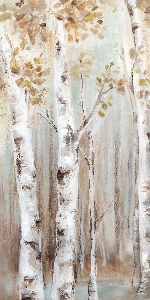 Art Print: Sunset Birch Forest I 
