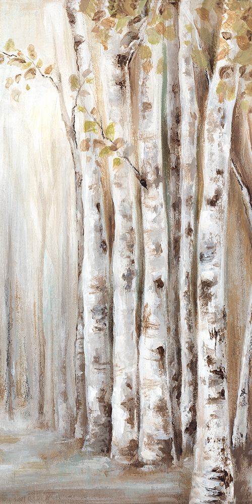 Art Print: Sunset Birch Forest II 