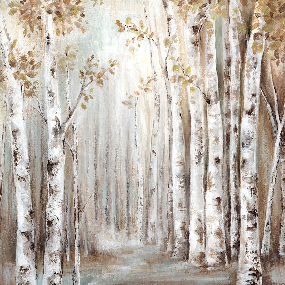 Art Print: Sunset Birch Forest III 