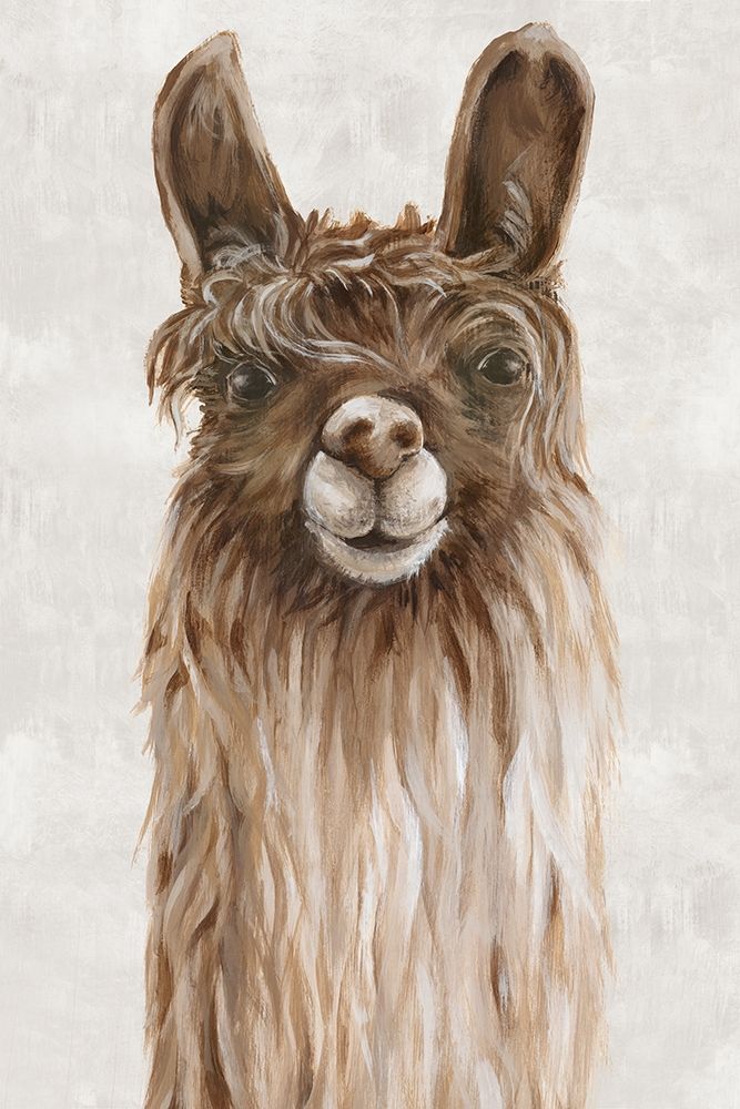 Art Print: Suri Alpaca I 