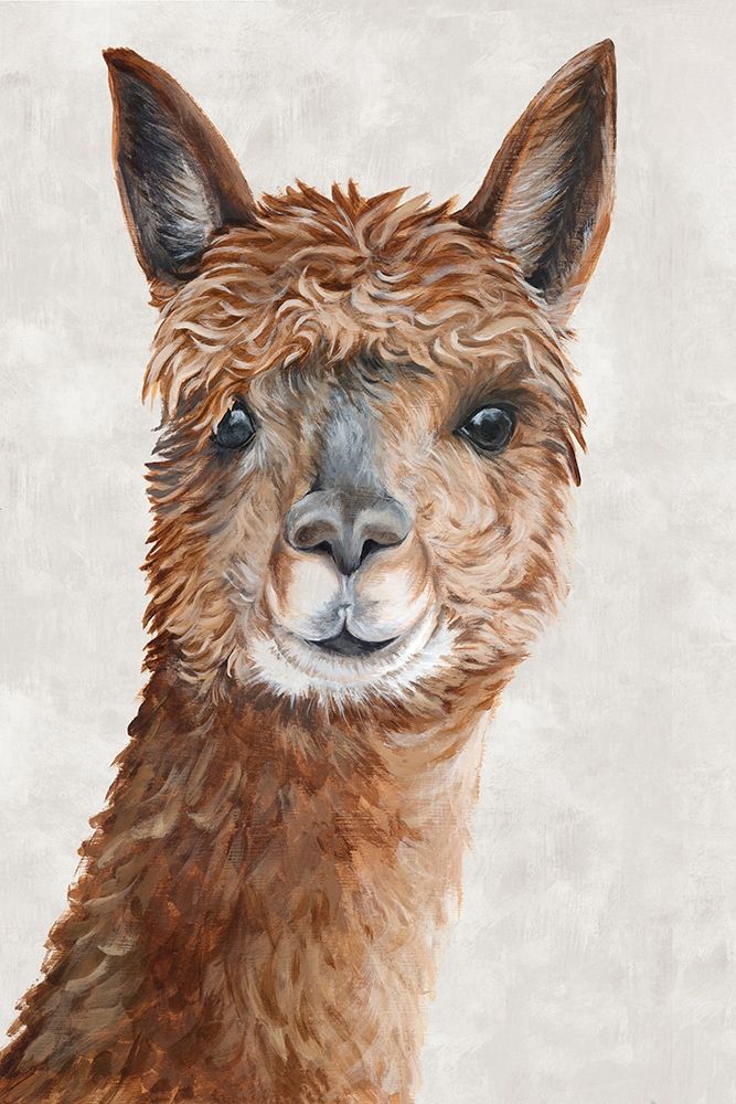 Art Print: Suri Alpaca II 