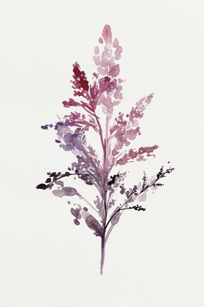 Wall Art Painting id:176093, Name: Botanical II, Artist: Isabelle Z