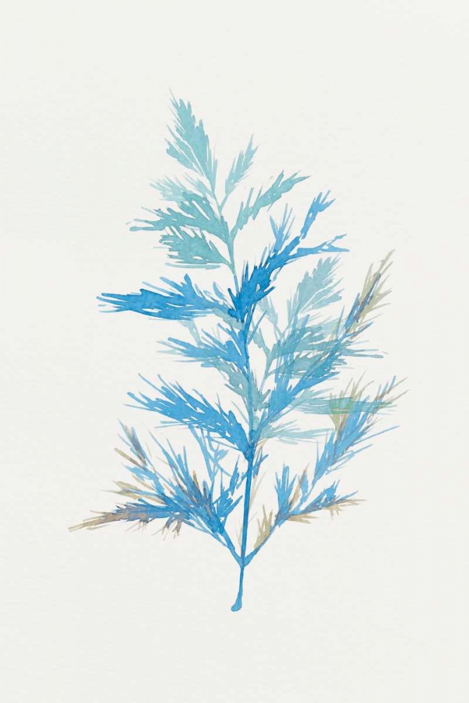 Wall Art Painting id:175611, Name: Whimsical Botanical I, Artist: Isabelle Z