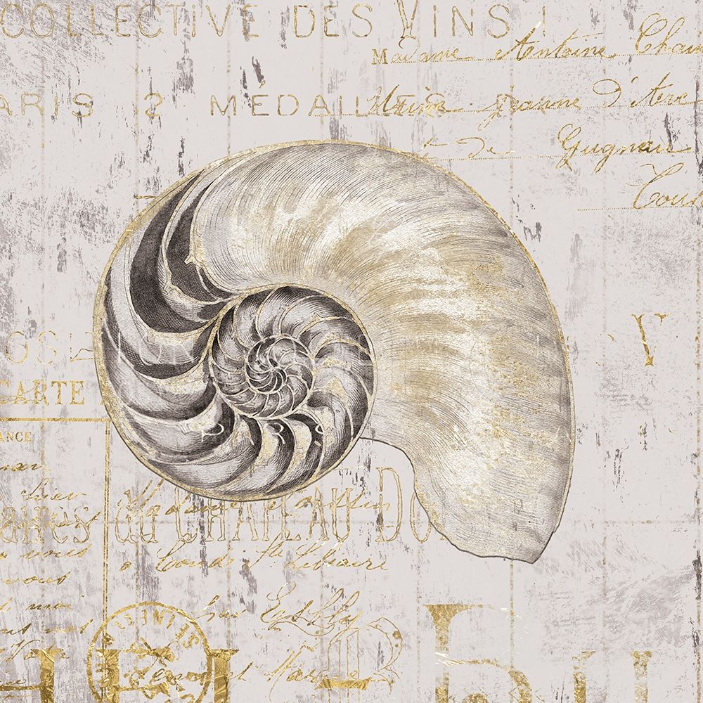 Art Print: Golden Vintage Shell I